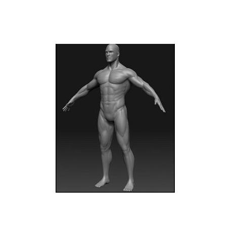 Bodygrid BodyGrid | Kitely Virtual World